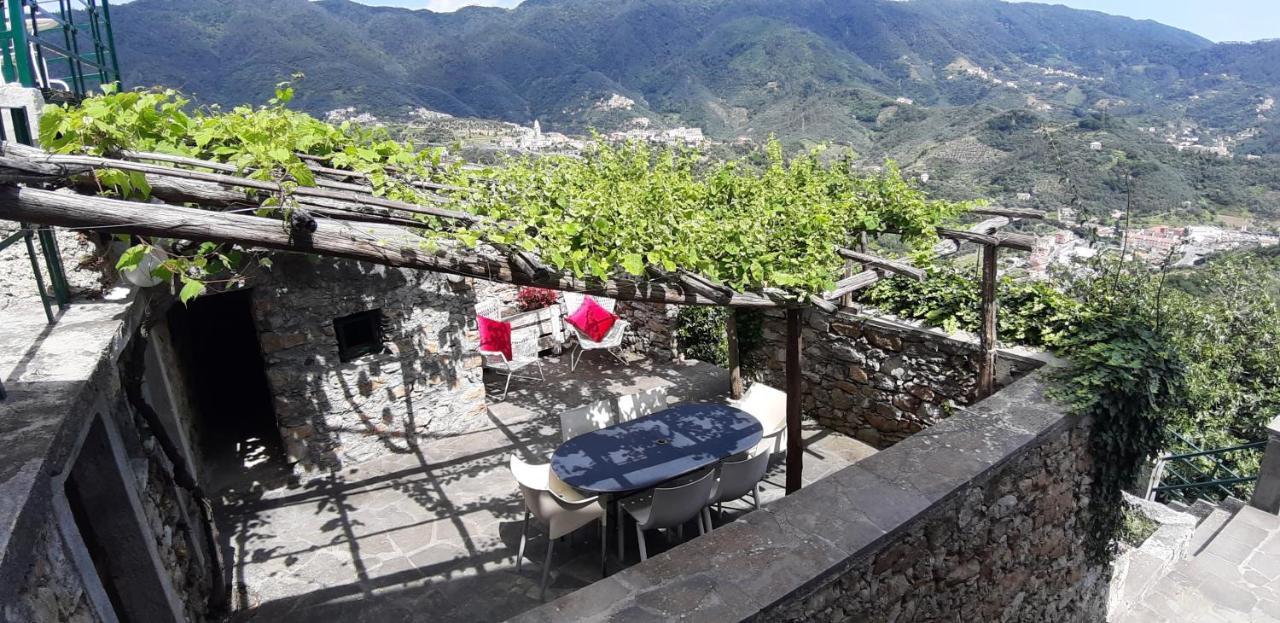 Tuvo Levanto