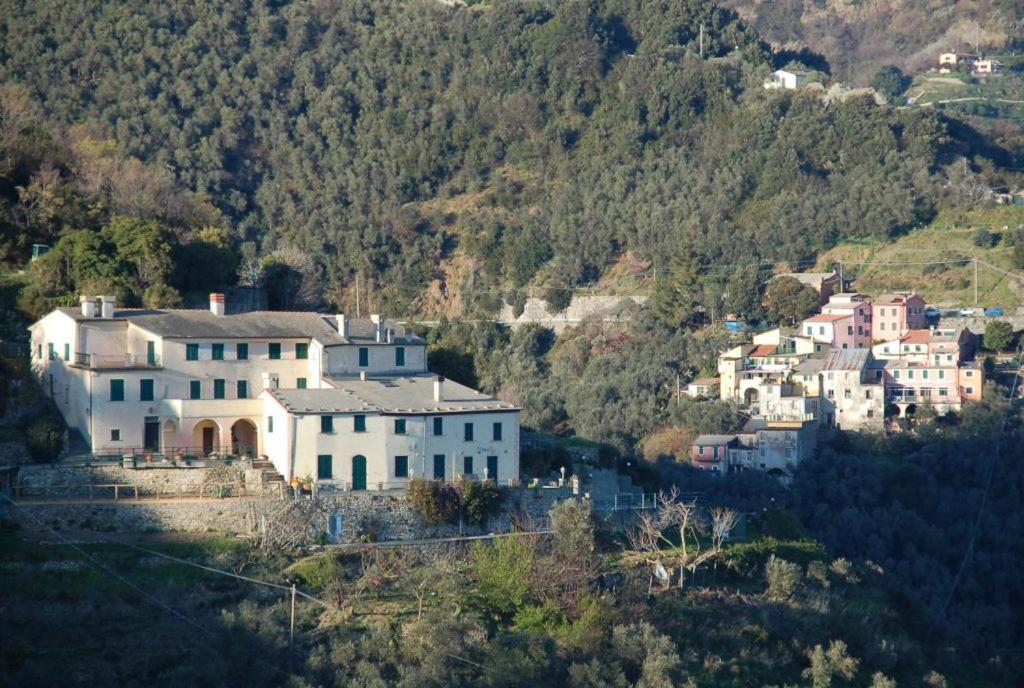 Tuvo Levanto