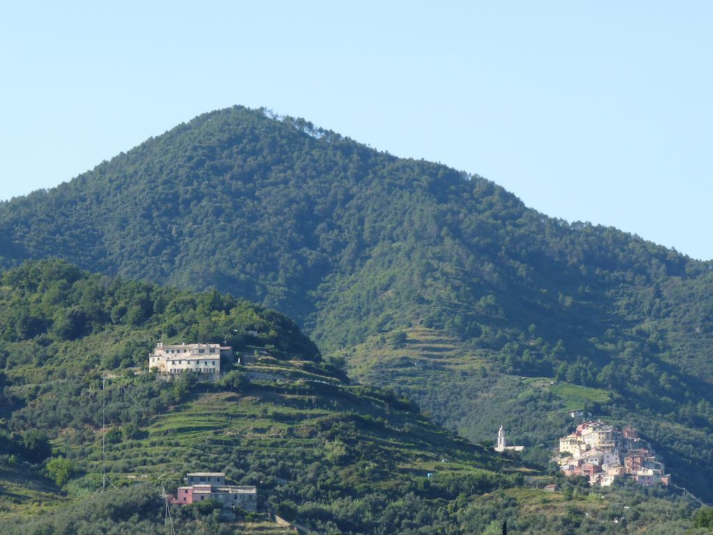 Tuvo