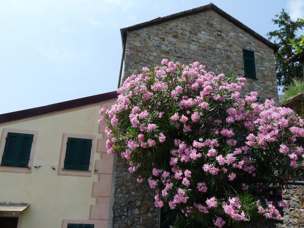 Tuvo Levanto